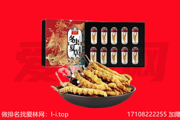 玉林市北流回收虫草.jpg